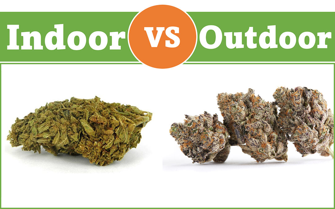 Indoor vs Outdoor high quality weed