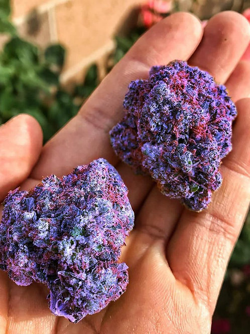 The Science Behind Growing Purple Weed And How To Do It