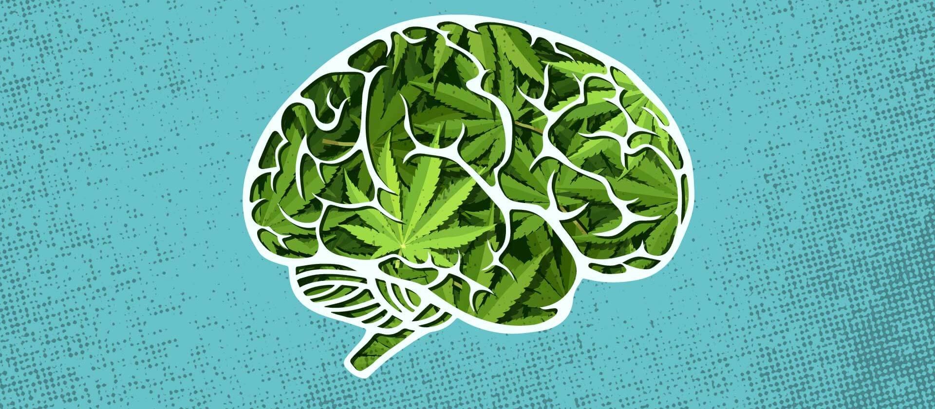 The Science Behind Merry-juana, Understanding Its Effects On The Body And The Brain