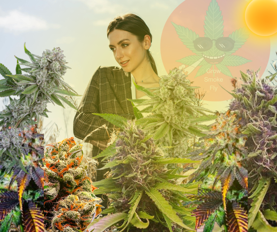 The Best Strains To Grow In 2024